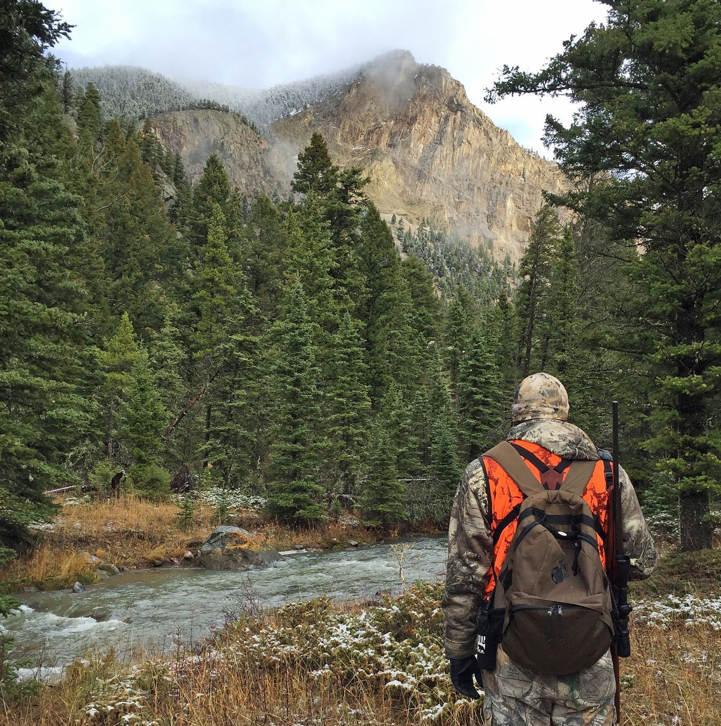 Hunting in bear country